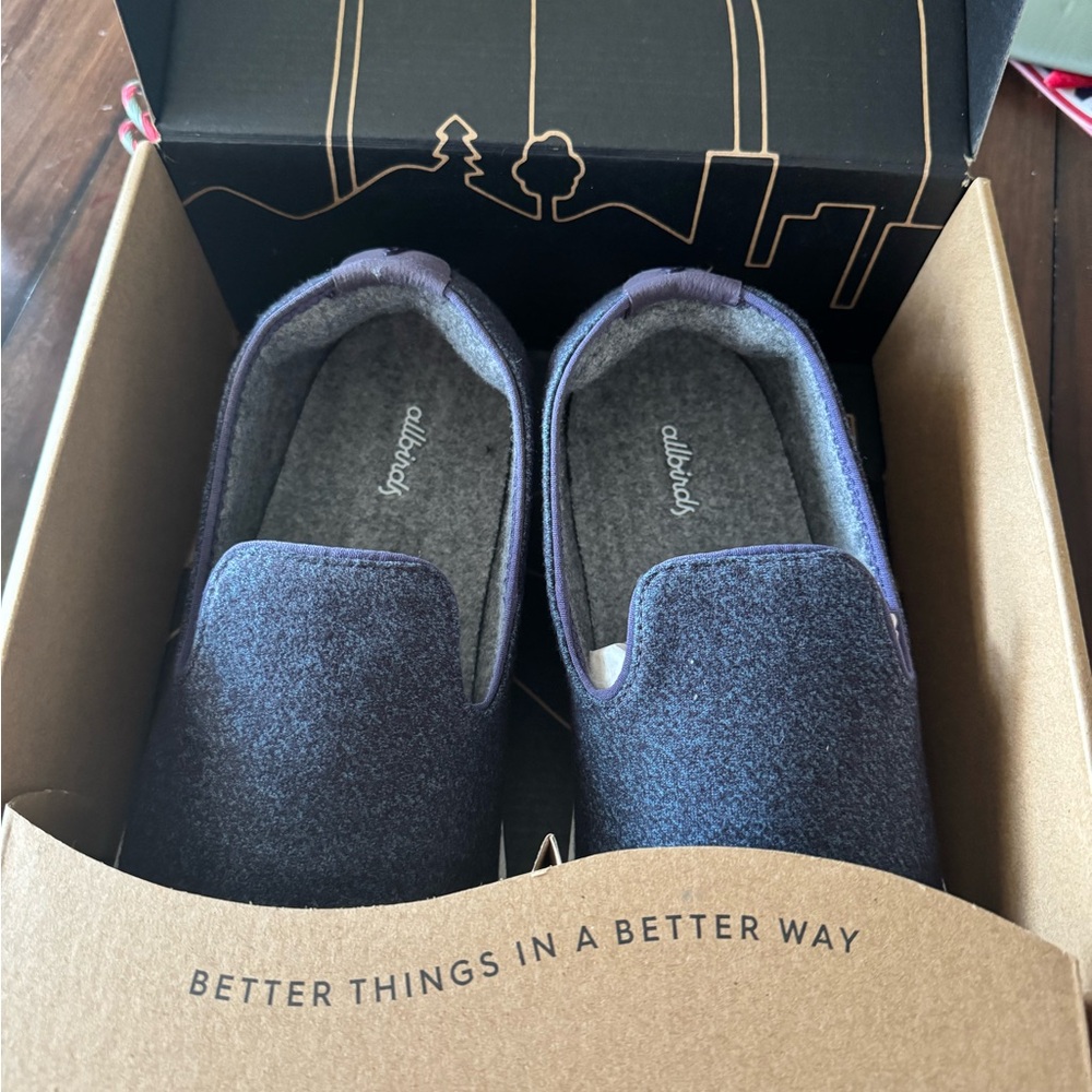 Allbirds Wool Lounger in Thunder Purple